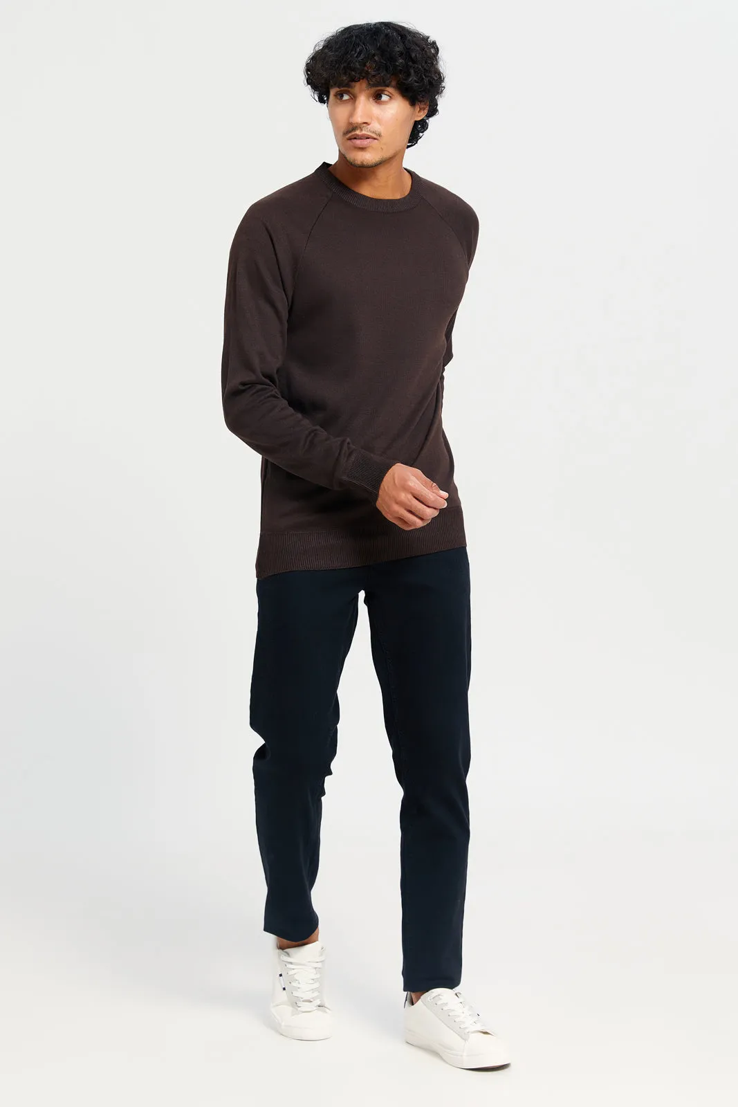 Men Brown Crew Neck Pullover